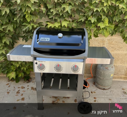גריל גז עם שלושה כפתורים על רקע קיר עם עלים ירוקים